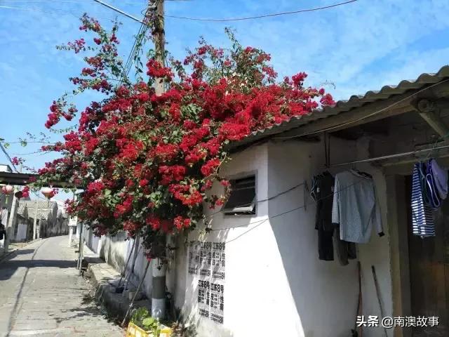 潮汕旅游最详细攻略,潮汕旅游攻略超详细