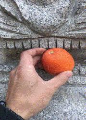 搞笑gif动图怎么玩很有意思,搞笑gif趣图眼见不一定为实啊