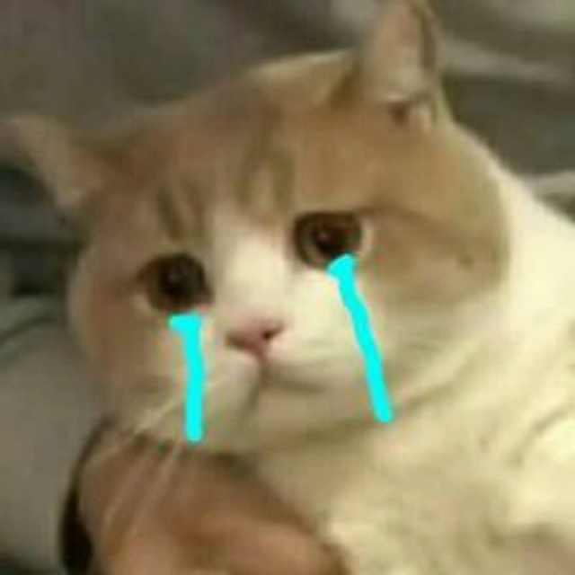 表情包我能怎么办,表情包我能怎么办呢