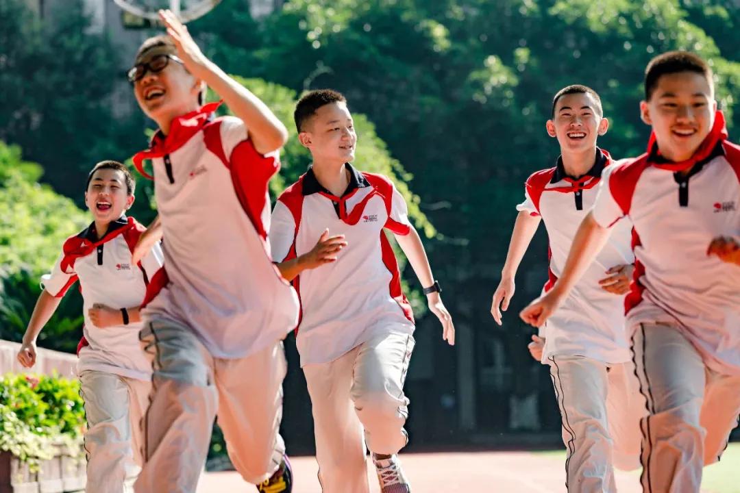 成都锦江四片学区怎么样,锦江四区学区如何