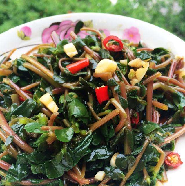 马齿苋如何用来洗白发,马齿苋能黑发吗