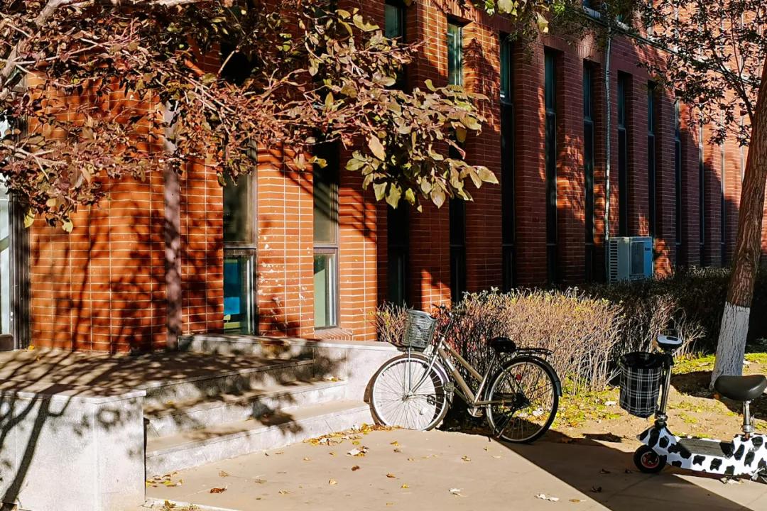 醉美大工秋|读书不觉已秋深，____________