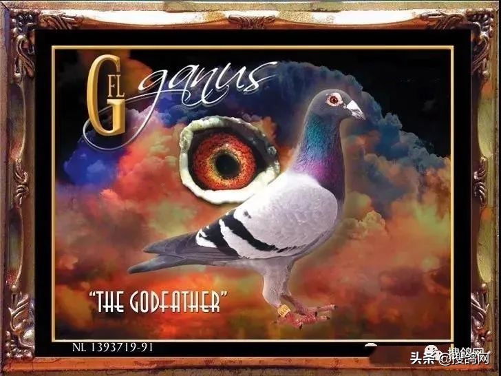 传奇后代,甘纳斯金马斯顿图片