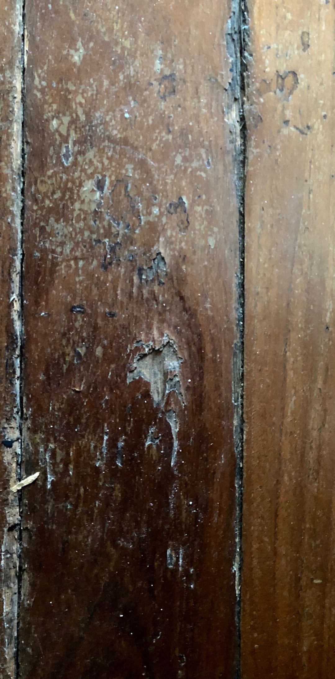 冯骥才作品书架,冯骥才的书桌阅读答案