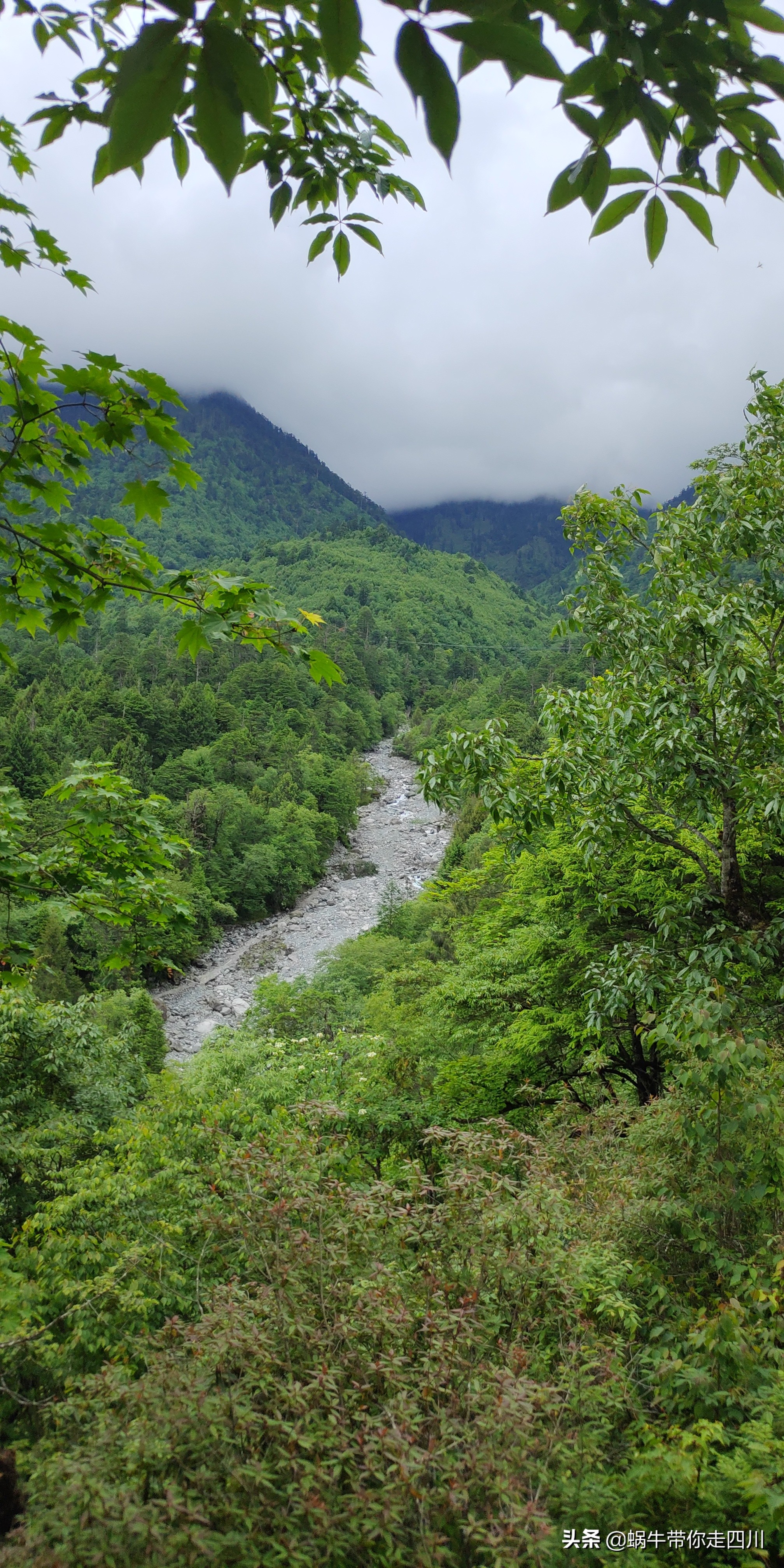 一家三口重庆到拉萨旅游攻略预算,一家三口成都去拉萨大概要多少钱