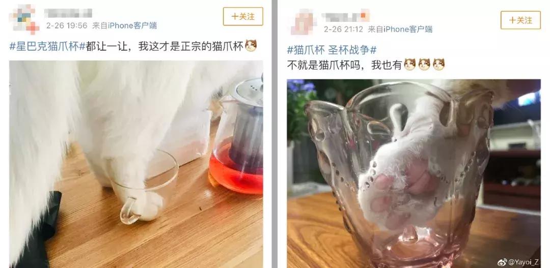 一只猫爪杯,让平静的江湖又掀起了一阵腥风血雨