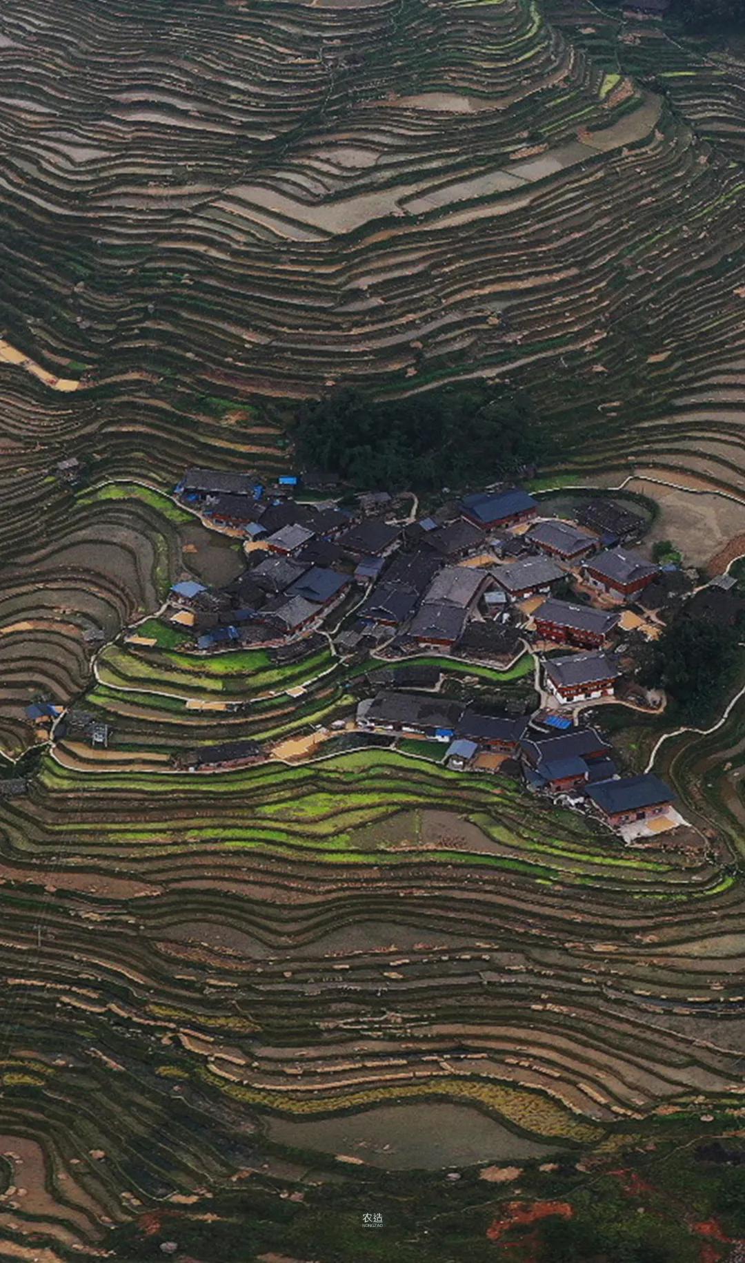 农造田野丨总有一根神经通往乡野|月亮山百里梯田