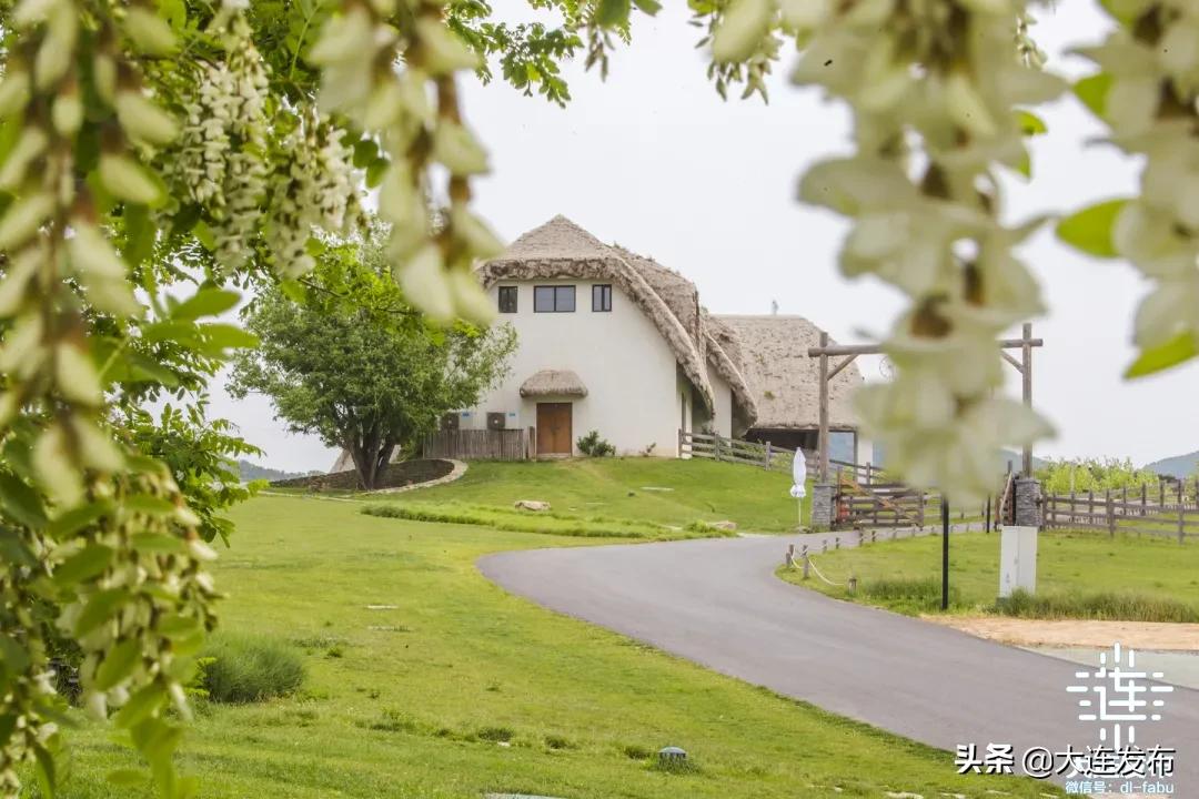 一个极美的露营地,槐之乡露营地