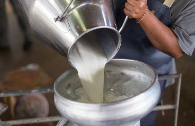 禁食猪肉的国家有哪些,禁食有毒食品