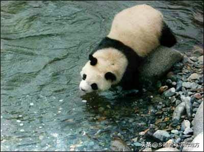 中国地理最为神奇的一个省份——甘肃