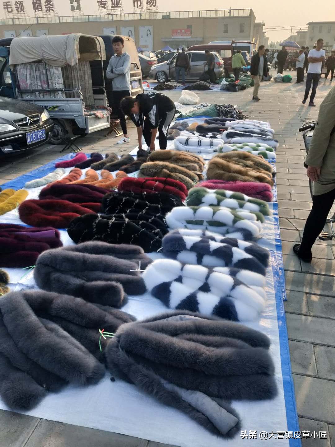 狐狸毛颜色排行,狐狸毛新品鉴赏