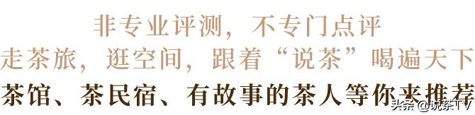 福鼎白茶还有“十不采”规定?让我们去河山有机茶园一探究竟