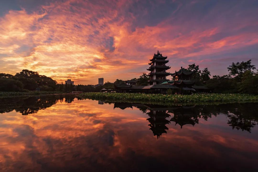 鏍戝眿鐏攨,鏍戝眿鍚冪悆