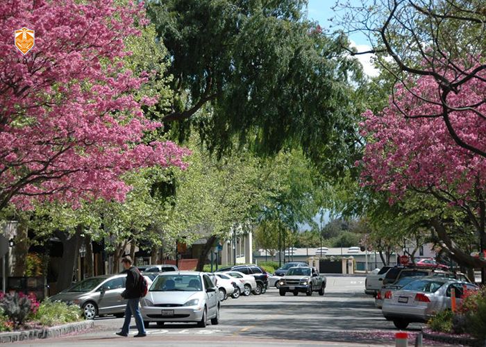 非诚勿扰最矮女嘉宾照片,非诚勿扰大学罗老师