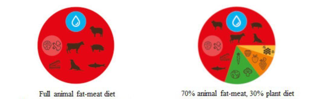 70%食物全是肉，3年控制癌症，这个老外案例，值得每个人看一看