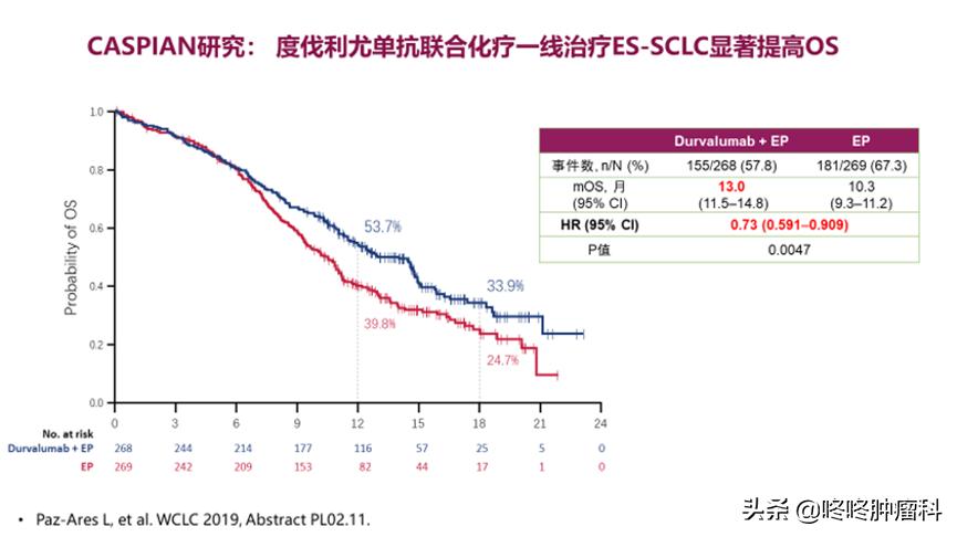 小细胞肺癌靶向治疗新突破,治疗小细胞肺癌最新突破新技术