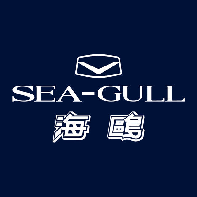 天津工业遗产海鸥手表,海鸥天津解放桥手表