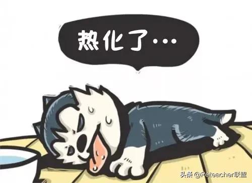 体育课太阳晒久了中暑怎么解决,夏日体育课太热怎么办