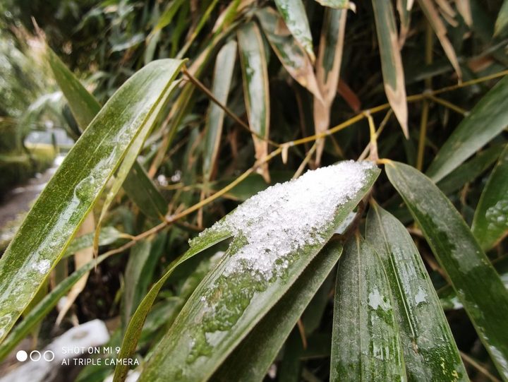 小米9旗舰手机测评,现在小米9还值不值得买