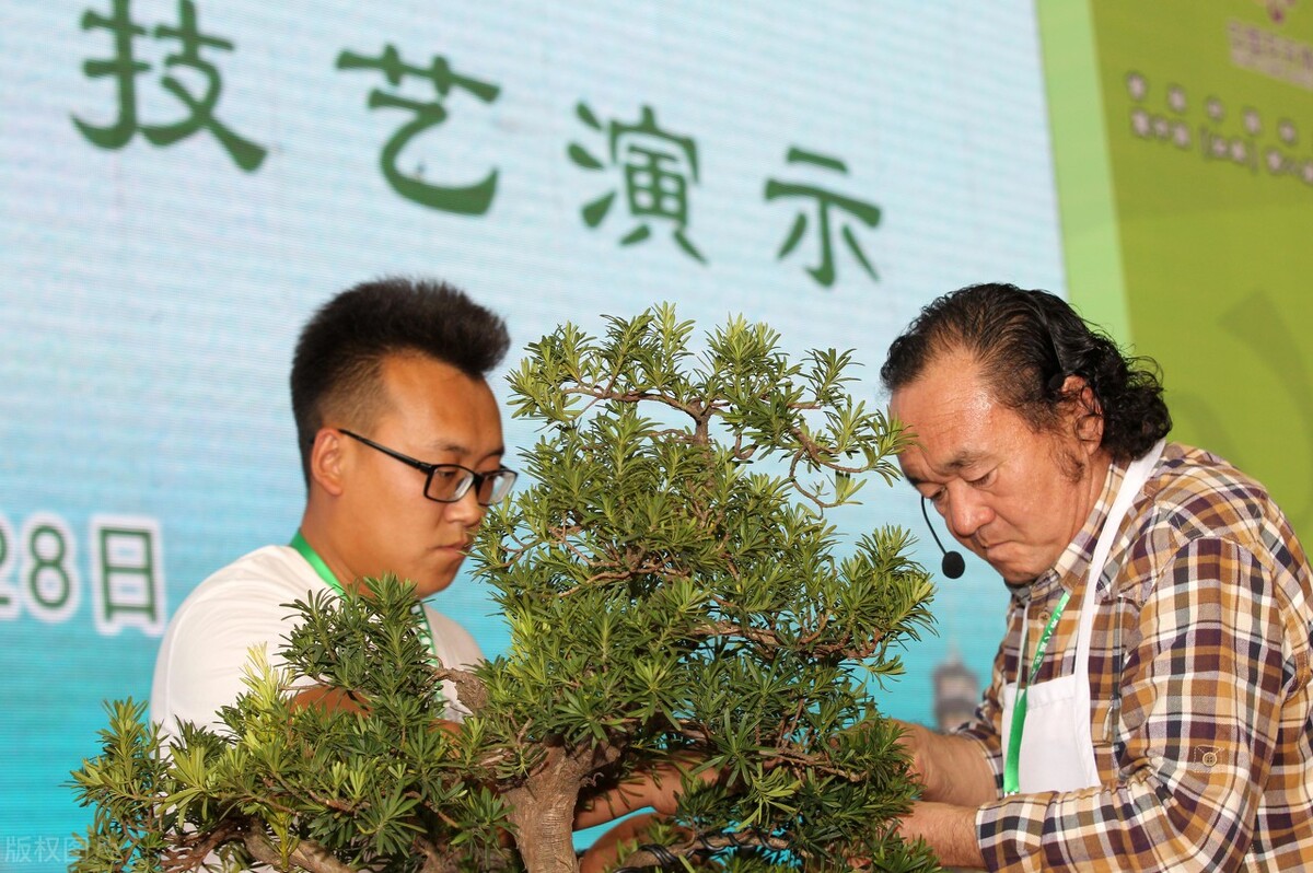 怎么才能轻轻松松赚到零花钱,推荐能赚点零花钱的方法