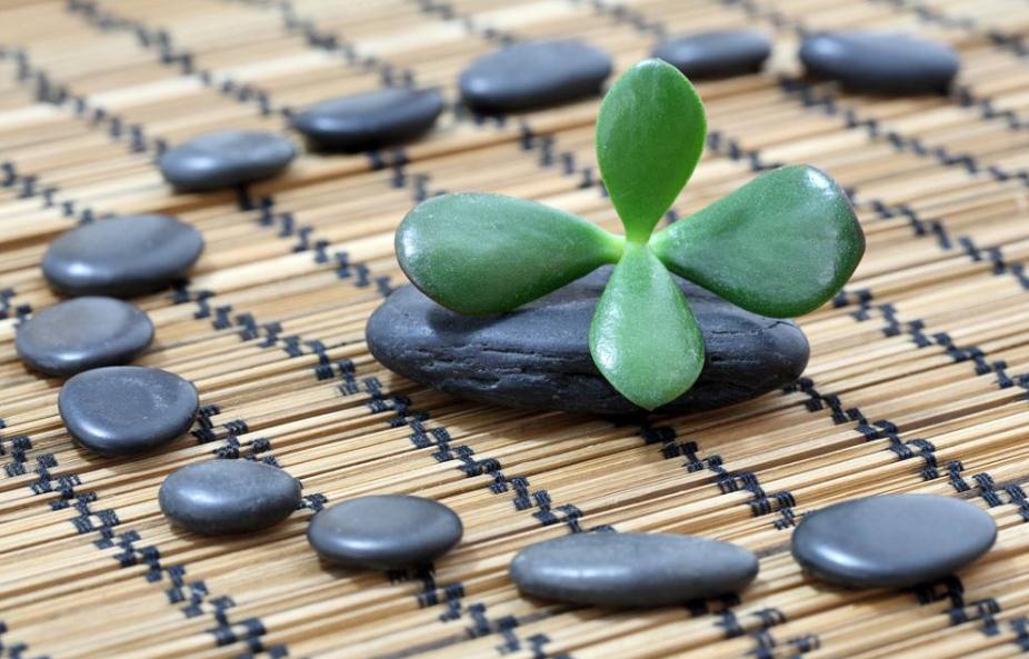 6涓緛鍏嗚鏄庢湁浜烘帓鎸や綘,鏈嬪弸鎯虫妸浣犺涪鍑哄湀瀛愮殑琛ㄧ幇