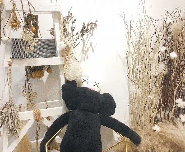 适合带猫咪下午茶好去处,佛山南海区猫咪推荐