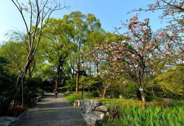 重庆旅游团报名价目表三日游,重庆周边三日自驾游最佳路线