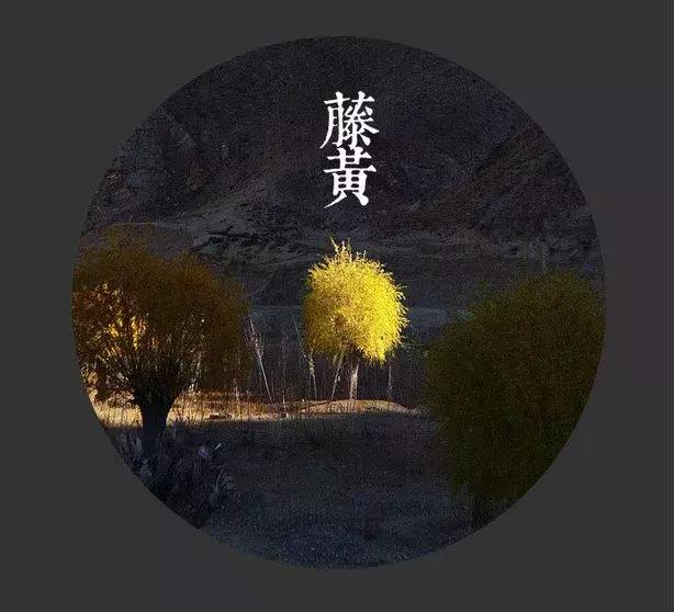 如何帮助三岁孩子学习国画,无锡小孩子学国画