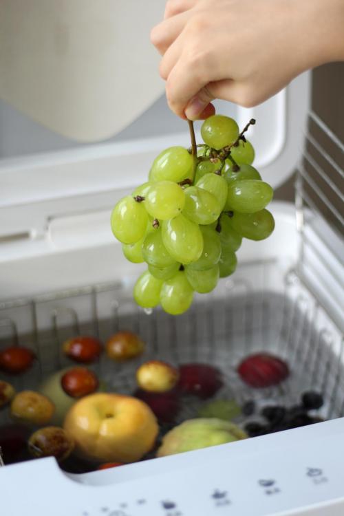 臭氧洗菜机如何挑选,智能洗菜机怎么选购的呢