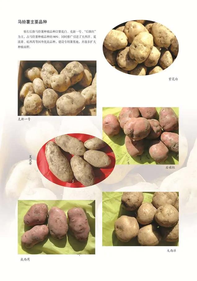 集宁三件宝,乌兰察布察哈尔右翼前旗后山