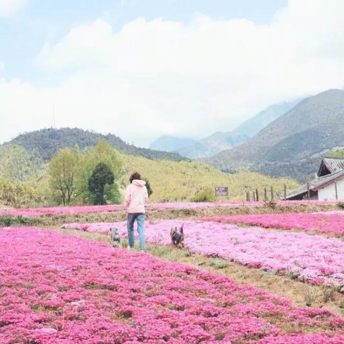 “园艺疗法”治愈抑郁症女孩，与植物对话可舒缓情绪，感知自我