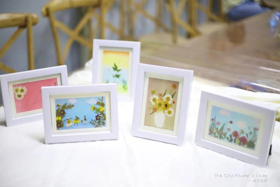 都市花语门票多少钱,都市花语免费阅读