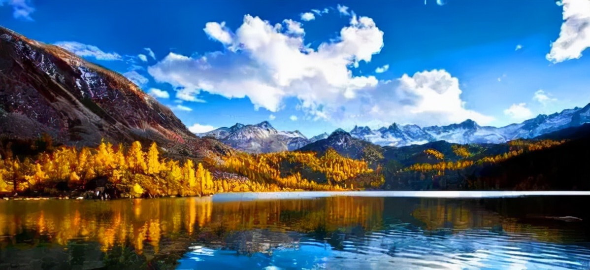 1011月错过它们,等于错过整个秋天!人少清净,随手一拍都是大片