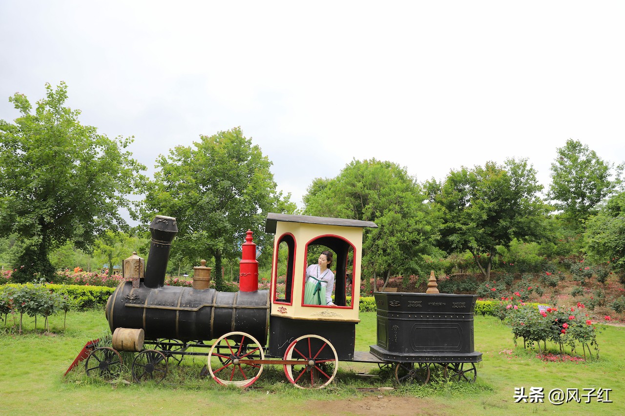 华中最大的玫瑰花园,中国最大的玫瑰花海