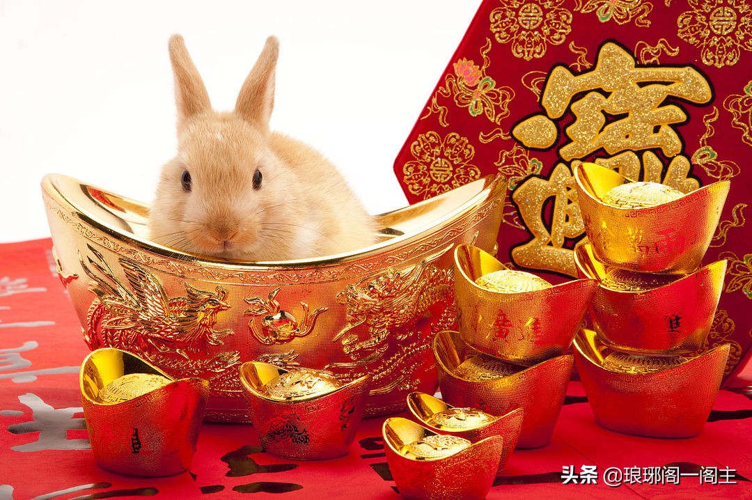 12生肖中兔对应哪个生肖,十二生肖的兔的传说