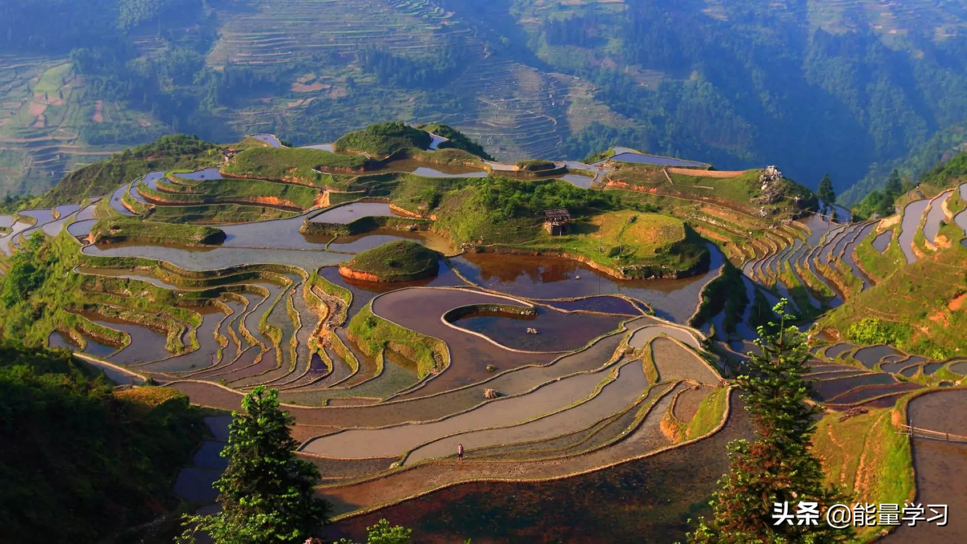 高考语文作文范文热点,高考语文作文热点范文