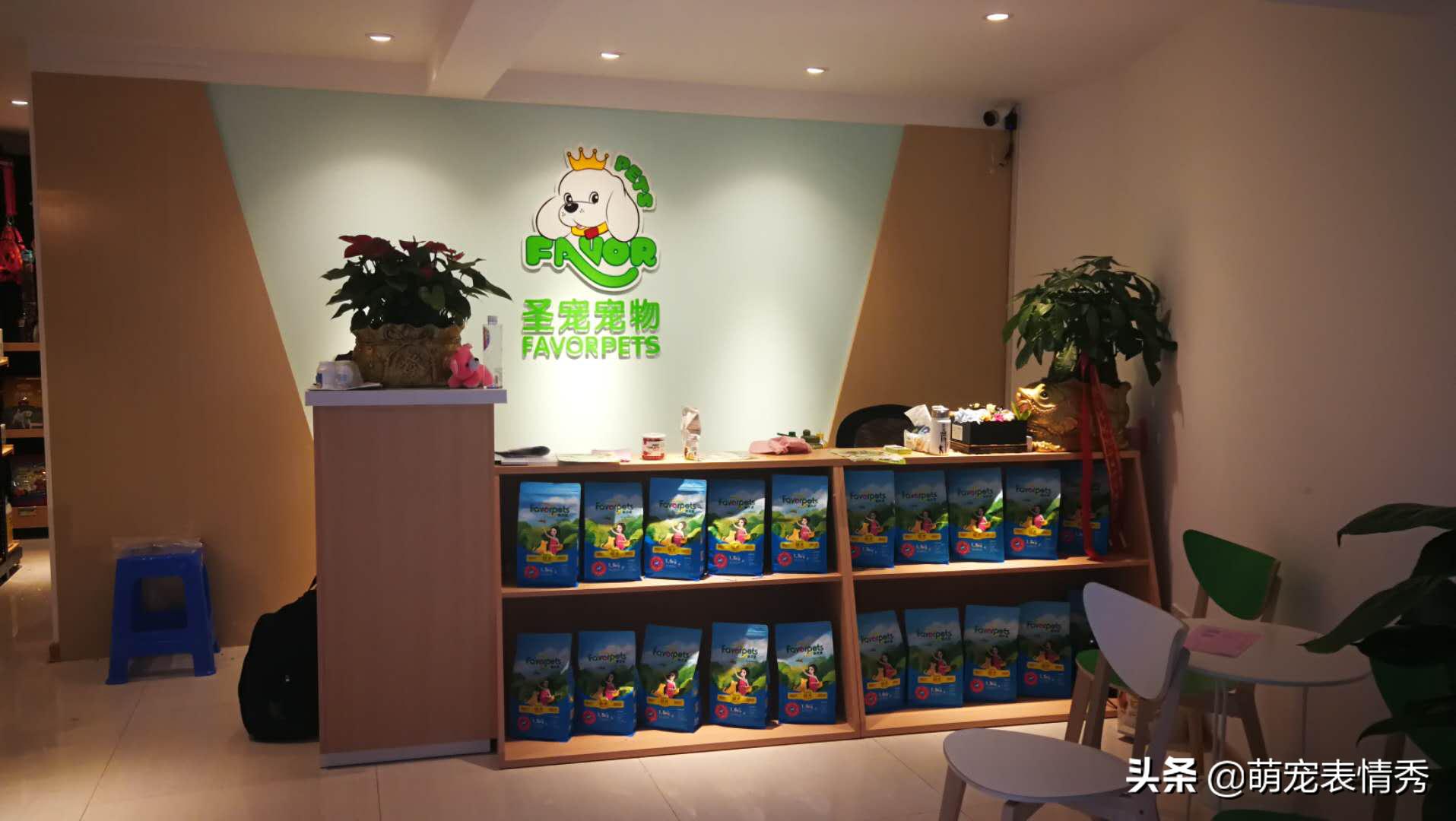 开宠物店需要多少钱投资,澳洲开宠物店需要手续和钱