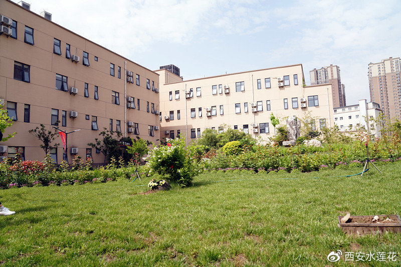 西安丹青易考美术学校,西安丹青艺术学校怎么样