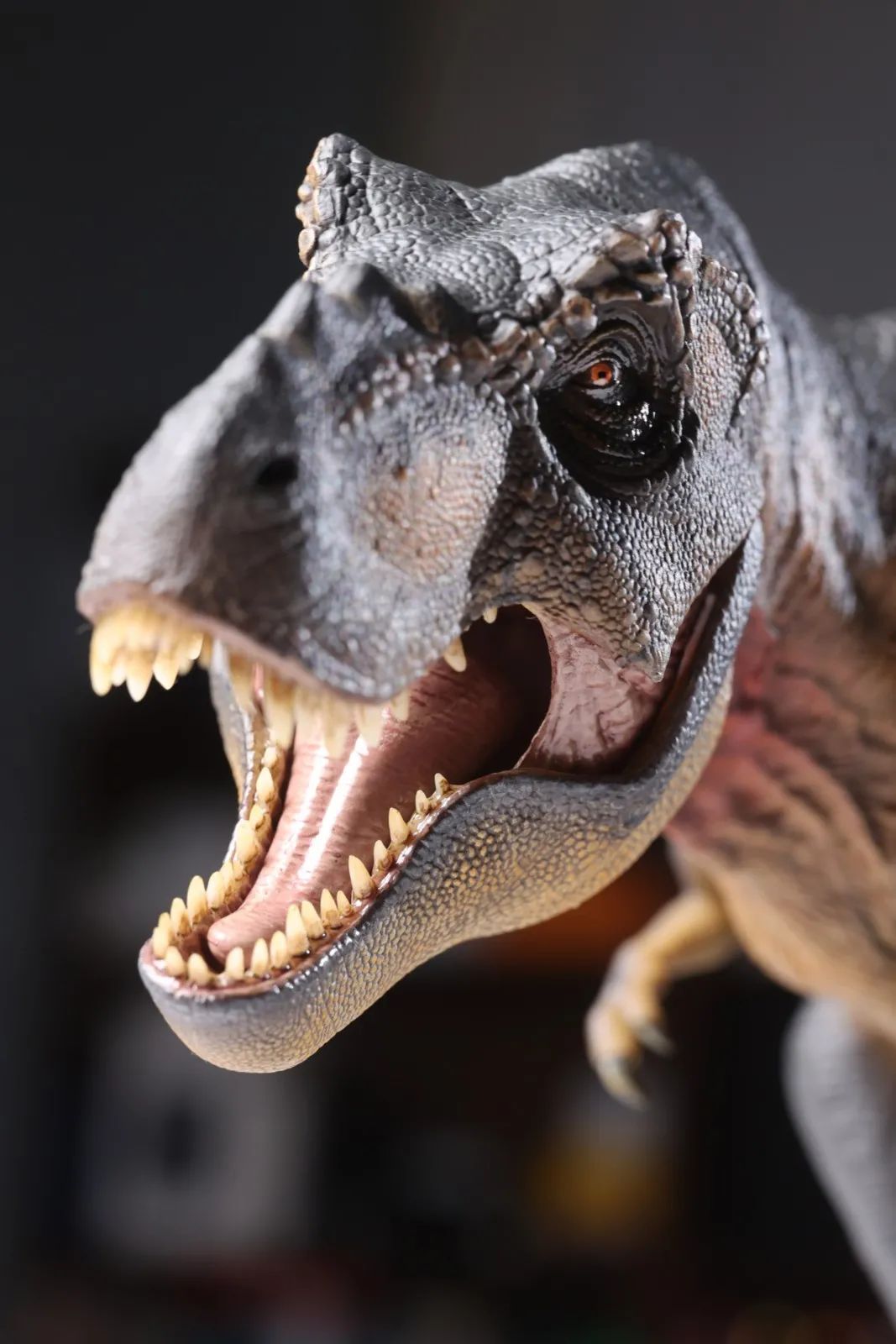 霸王龙出没!本心楠改TheOnceandFutureKing永恒之王模型入手