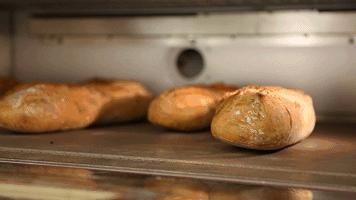 面包太干太硬怎么办,面包太硬怎么吃才好吃