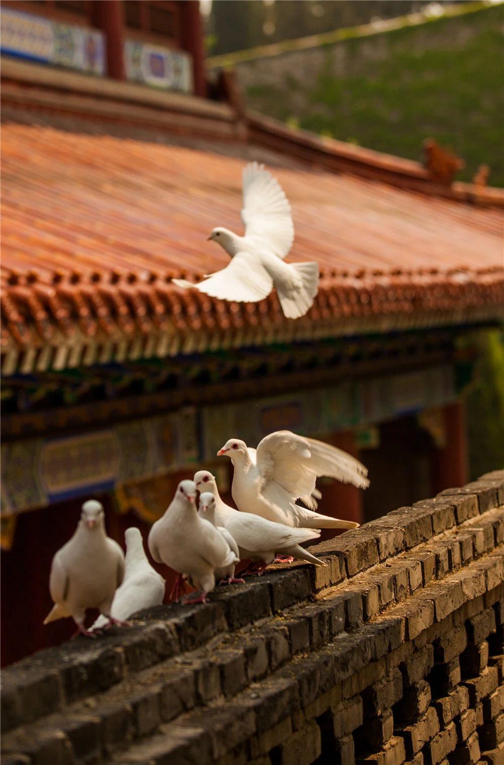 3天2夜游！它是被低估的海滨小城，藏着独属于11月的盛大美景|冬游齐鲁