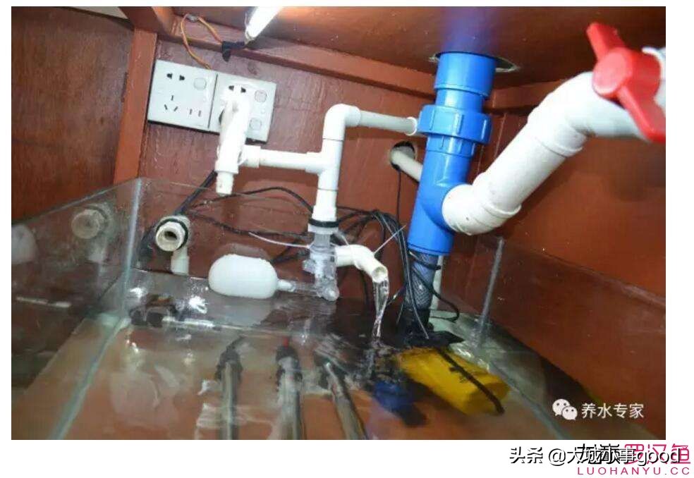 鱼缸自动换水太快,鱼缸自动换水补水靠谱么