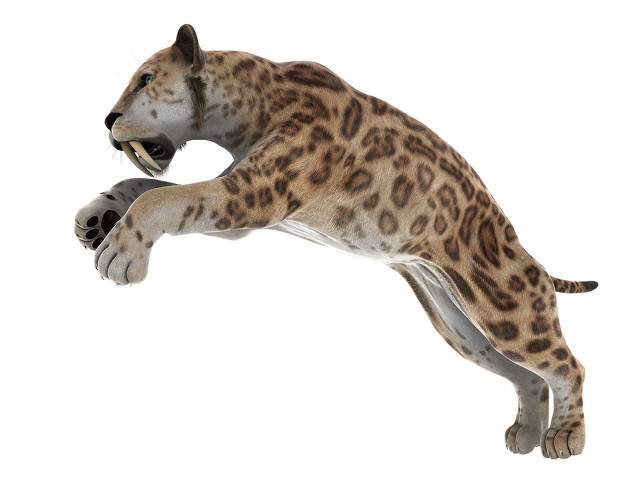 马自达cx-4怎么样啊,马自达cx-4怎么样装抬头显示