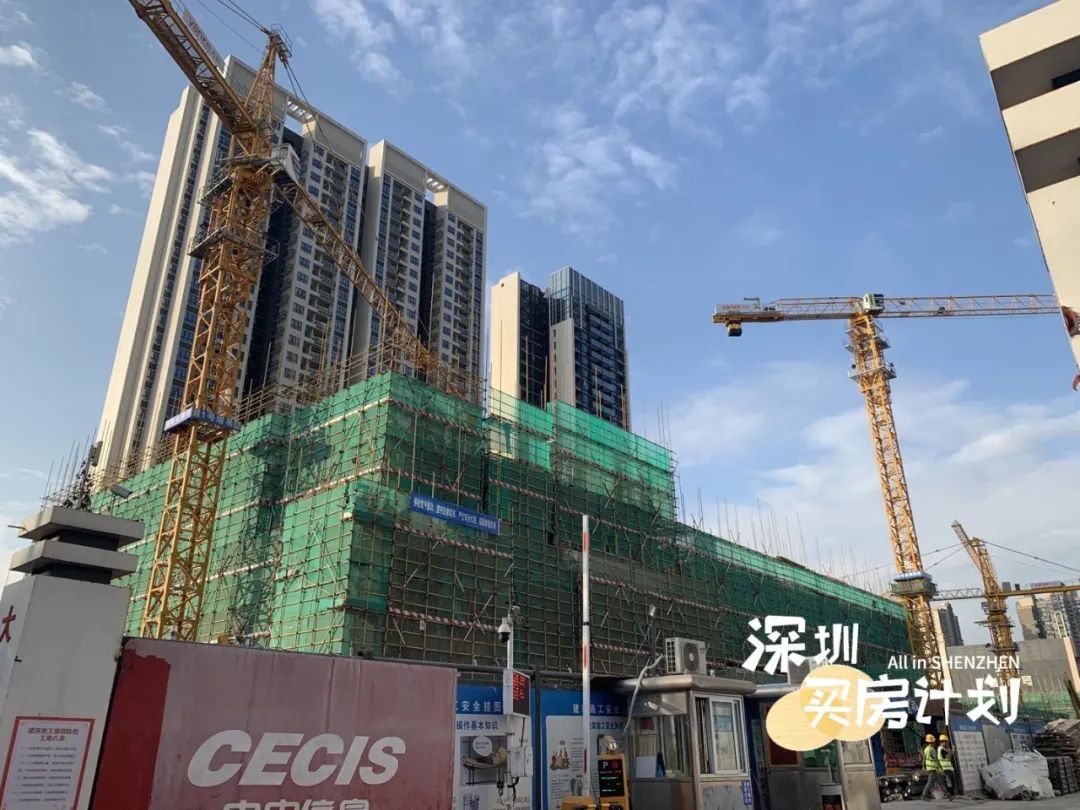 深圳目前值得打新的楼盘,深圳12月打新火爆新盘