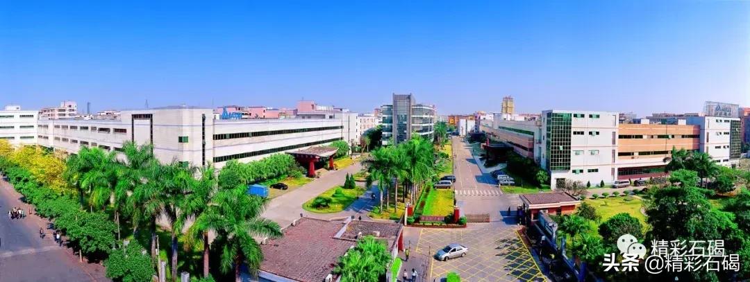 重磅!石碣镇入围2019年度全国百强镇,东莞还有这些镇上榜!
