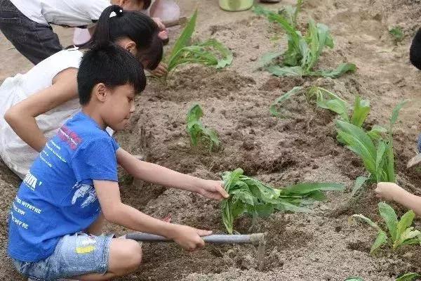 广州站丨2019天露山旅游产品推介会圆满成功!