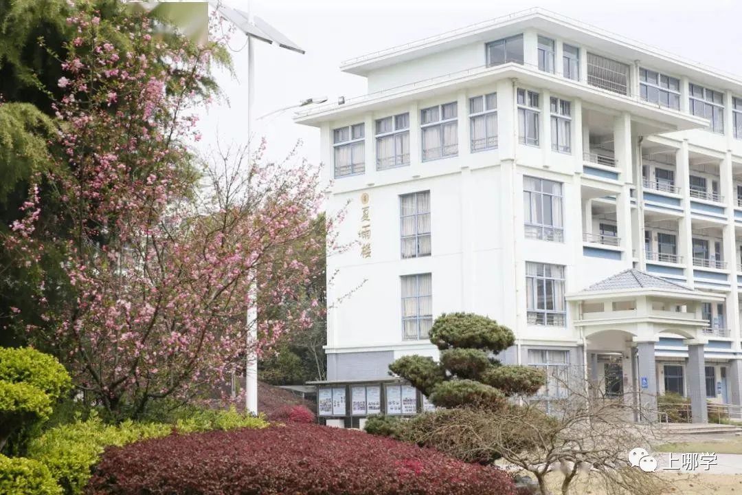 涓婃捣鏁欒偛璧勬簮澶х垎鍙戝尯,涓婃捣鏂板瀛︿綅