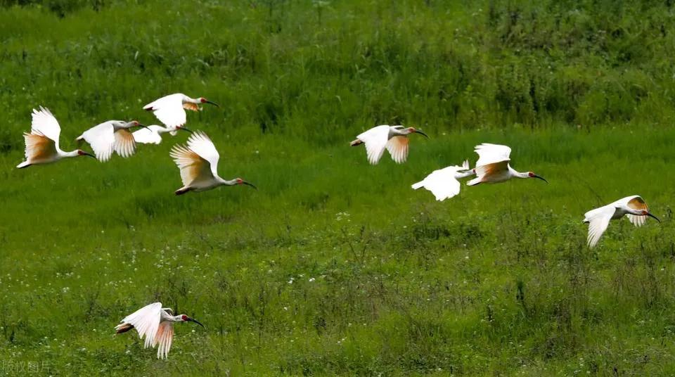 光明的前景的英文,光明前景