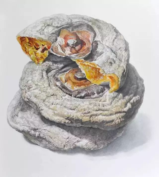 央美精微素描高清图片,央美精微素描多少分