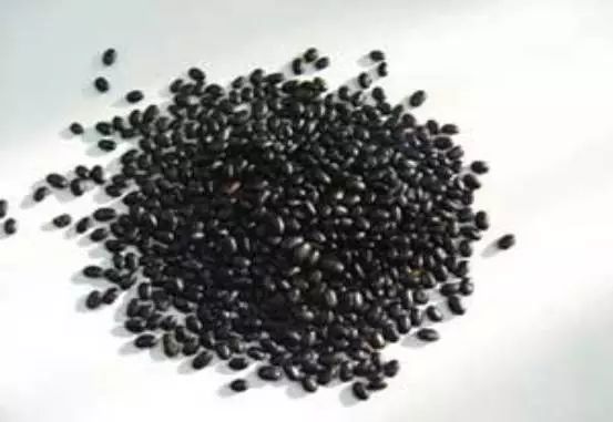 六种富含益生菌食物增强免疫力,五种食物每天坚持吃